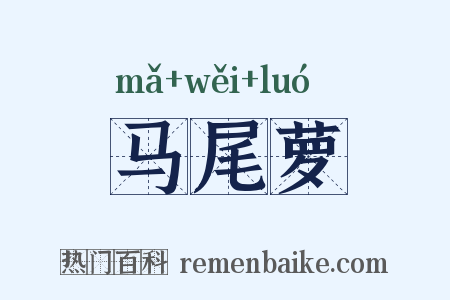 马尾萝是什么意思的图片